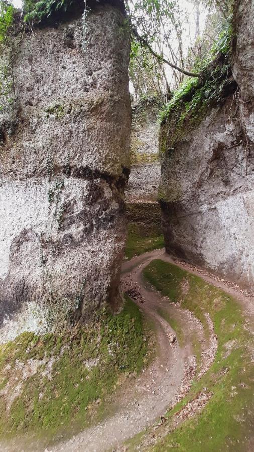 Appartamenti A Pitigliano Kültér fotó